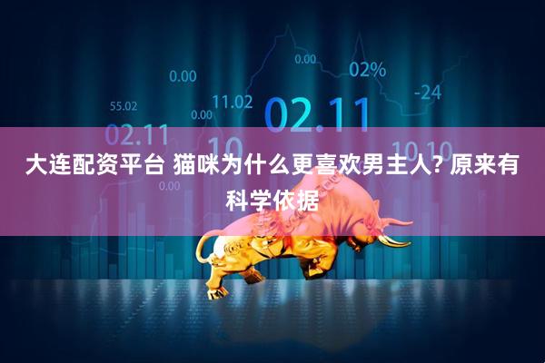 大连配资平台 猫咪为什么更喜欢男主人? 原来有科学依据