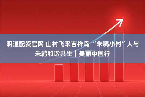 明道配资官网 山村飞来吉祥鸟 “朱鹮小村”人与朱鹮和谐共生｜美丽中国行